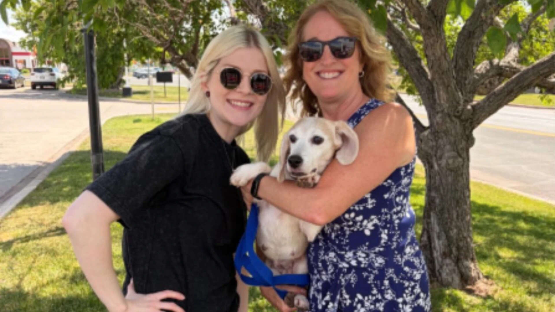 A woman met a beagle and could not stop thinking about her, so she went on a “manhunt” to find the dog again and finally adopt her