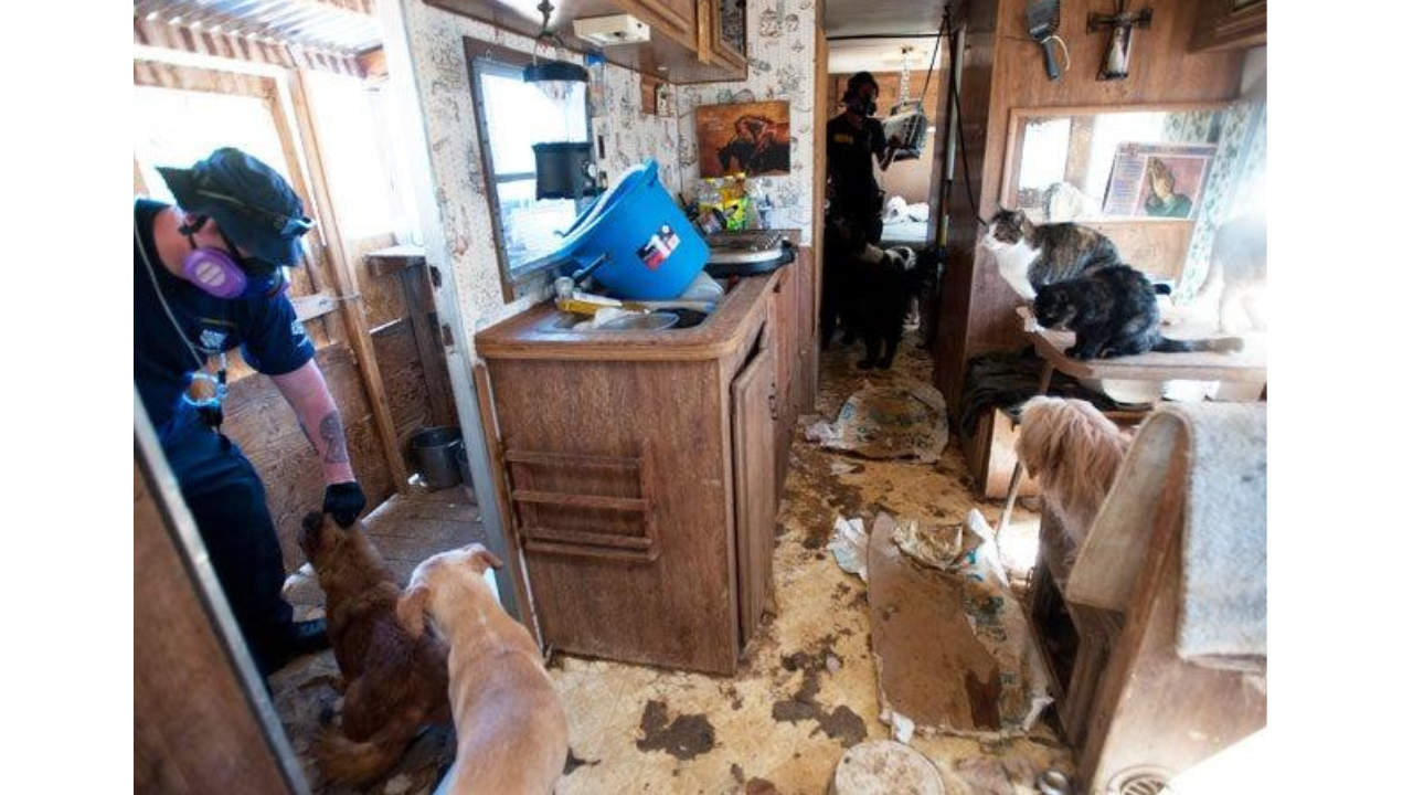 The Stuart, Florida home where authorities rescued 80 cats and 12 dogs after executing a search warrant.