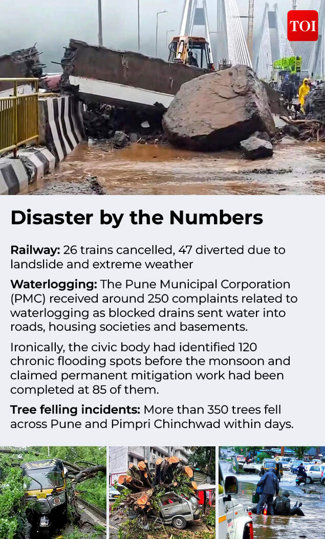 Cancelled trains, waterlogging stopped the city while trees became another hazard​