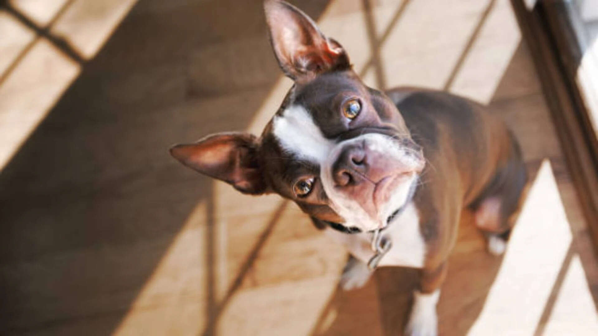 You offer sustained attention without a verbal reward<br><br>