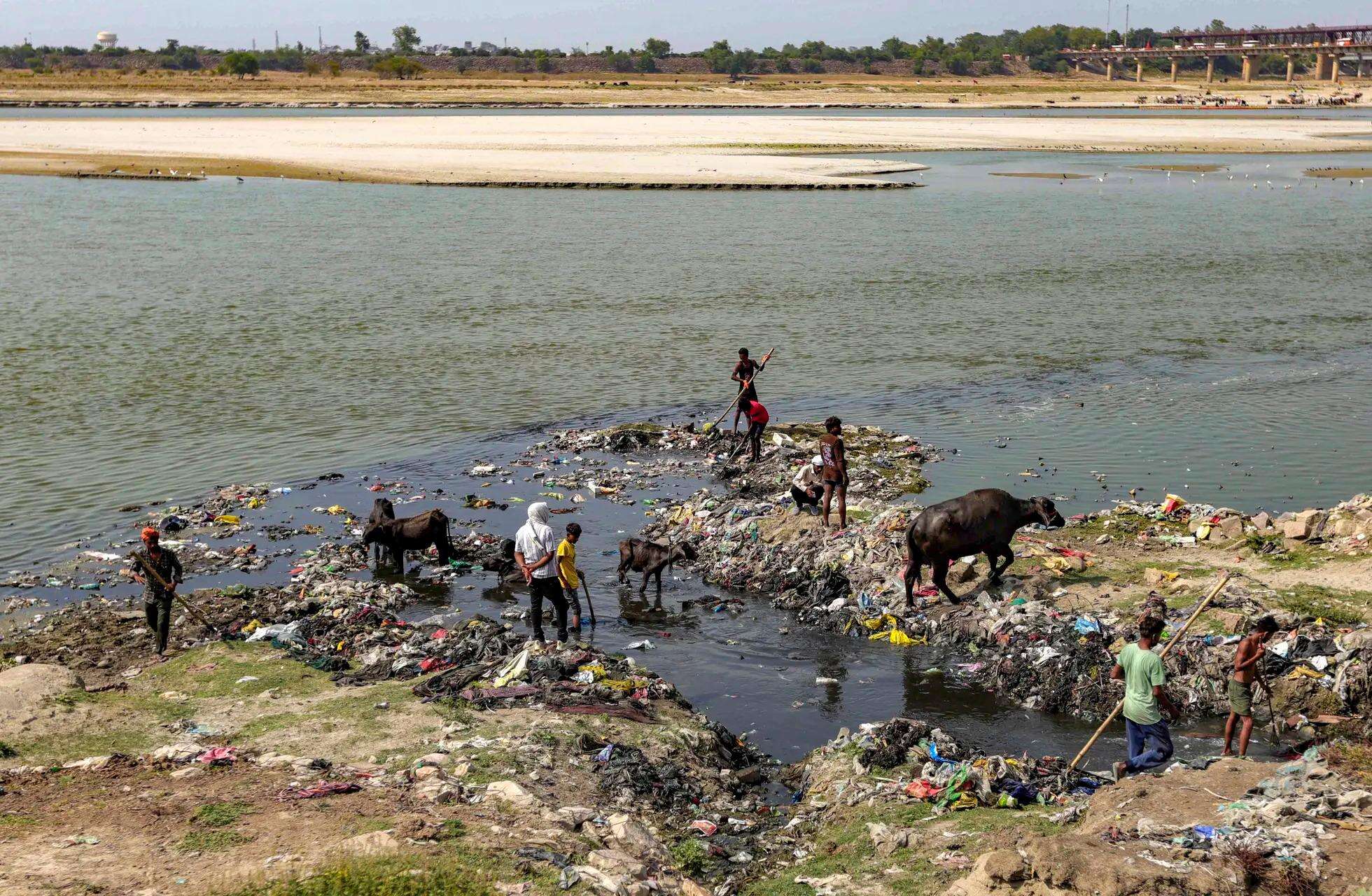 Ganga river cleaning in Prayagraj