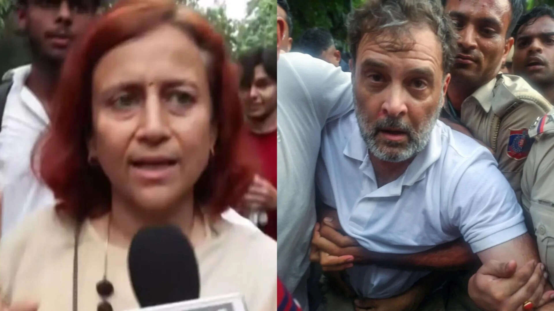 Rahul Gandhi's protest outside PM house ‘insincere’: Sonam Wangchuk’s wife