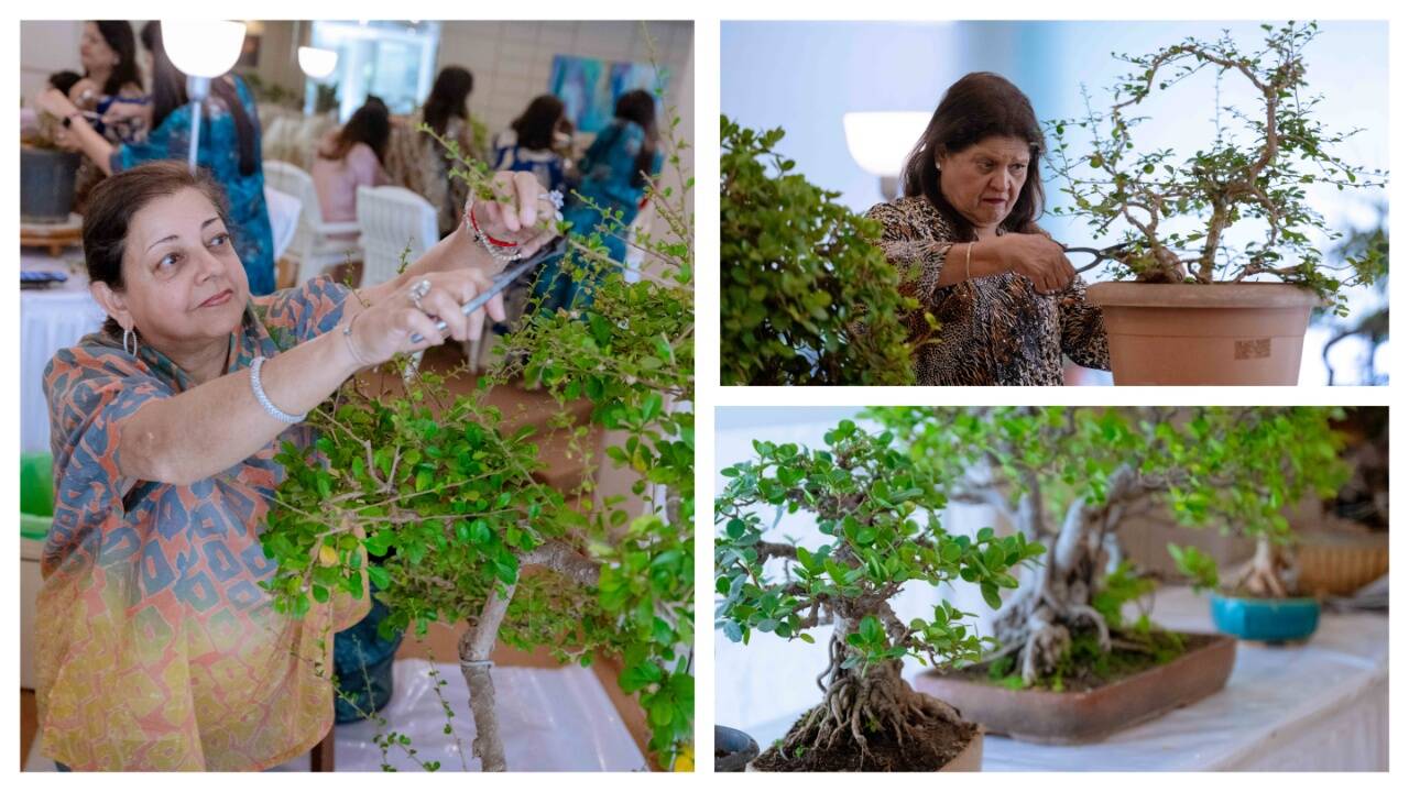 Rooted in patience: How Mumbai’s bonsai lovers find stillness together