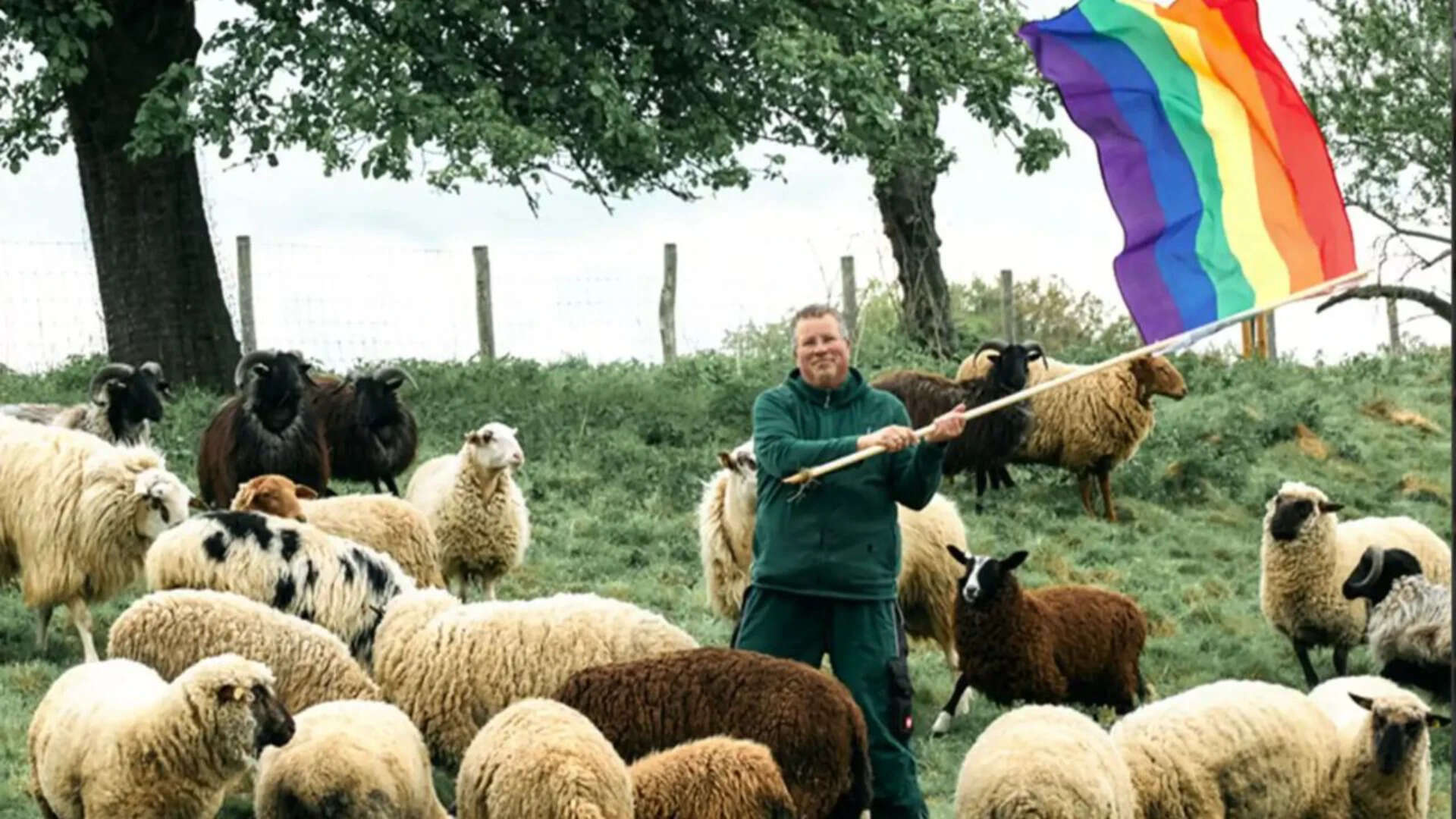 German farmer saves 'gay' sheep from slaughter and uses proceeds to help people flee homophobic persecution