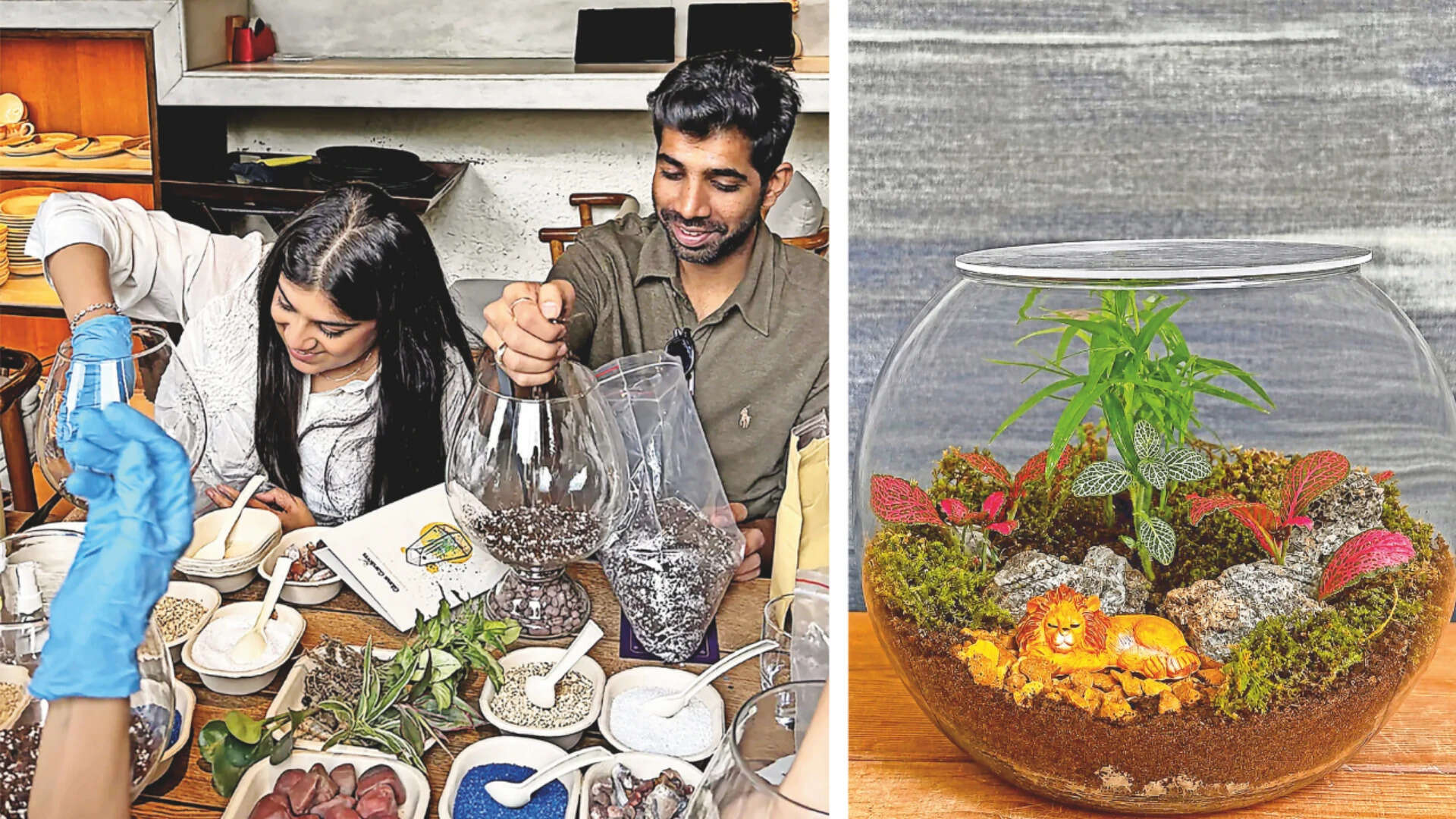 As Delhiites adopt new wellness rituals, terrariums are rapidly taking root in the city (Pics: @troveexperiences, @planterie)<br>