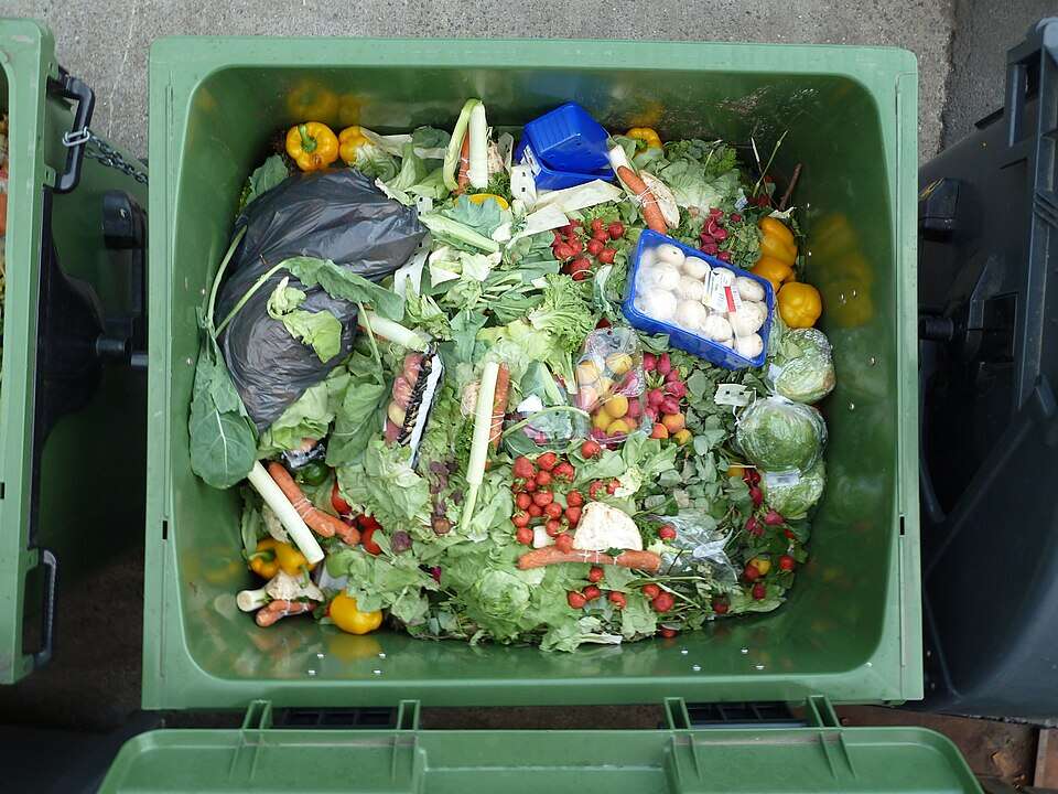 Treasure_trove_of_wasted_food
