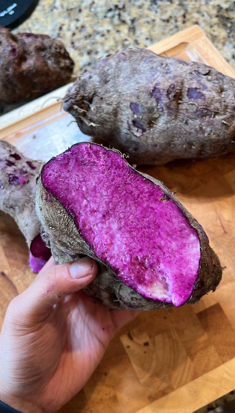 Ube, purple yam