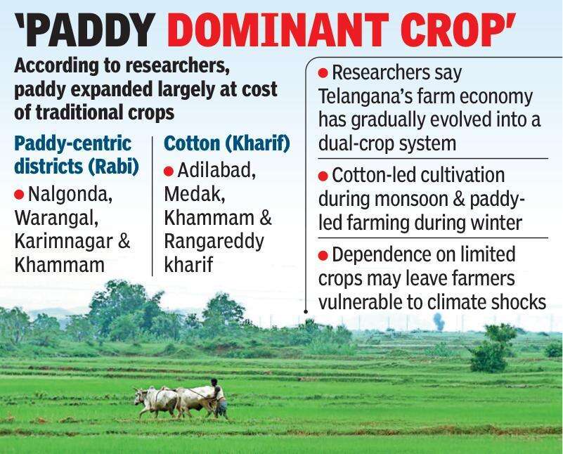 Paddy is dominant in T'gana.jpg