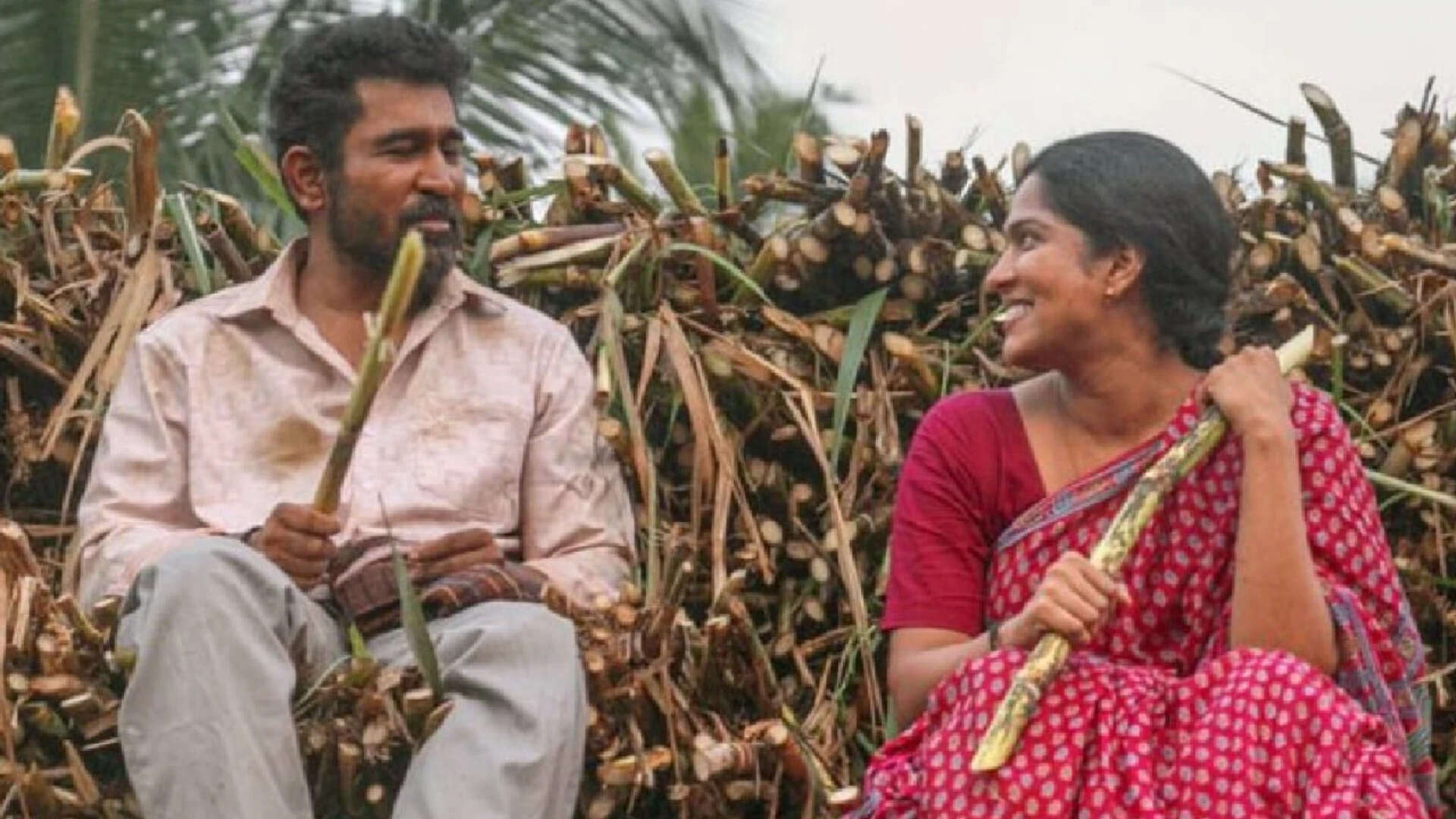 Vijay Antony and Swasika's 'Nooru Saami' OTT release date confirmed