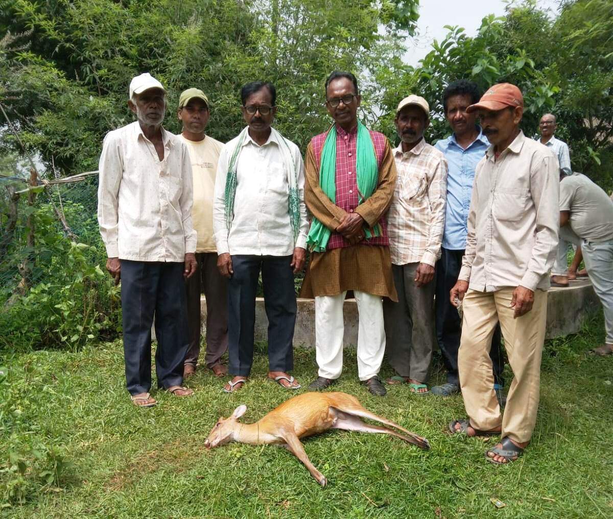 2239ae29-efd0-47b2-a45b-cfa7fc51a870_deer_death_in_bokaro_2.jpeg