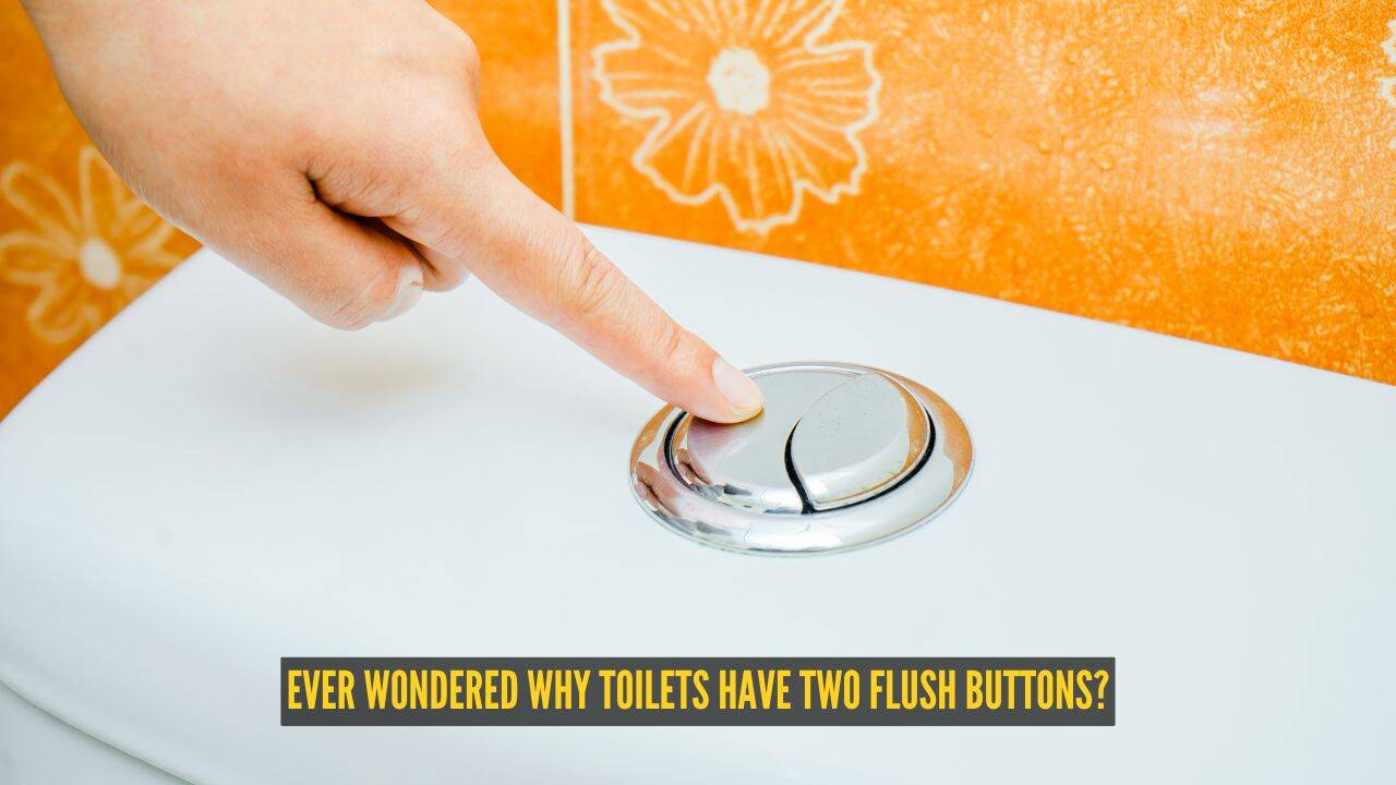 Ever wondered why toilets have two flush buttons? Here's what each one actually does