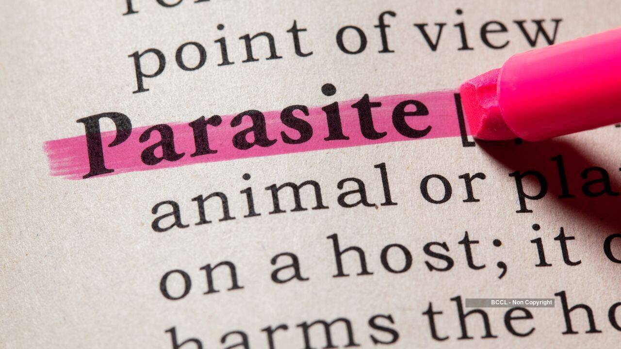 Parasite