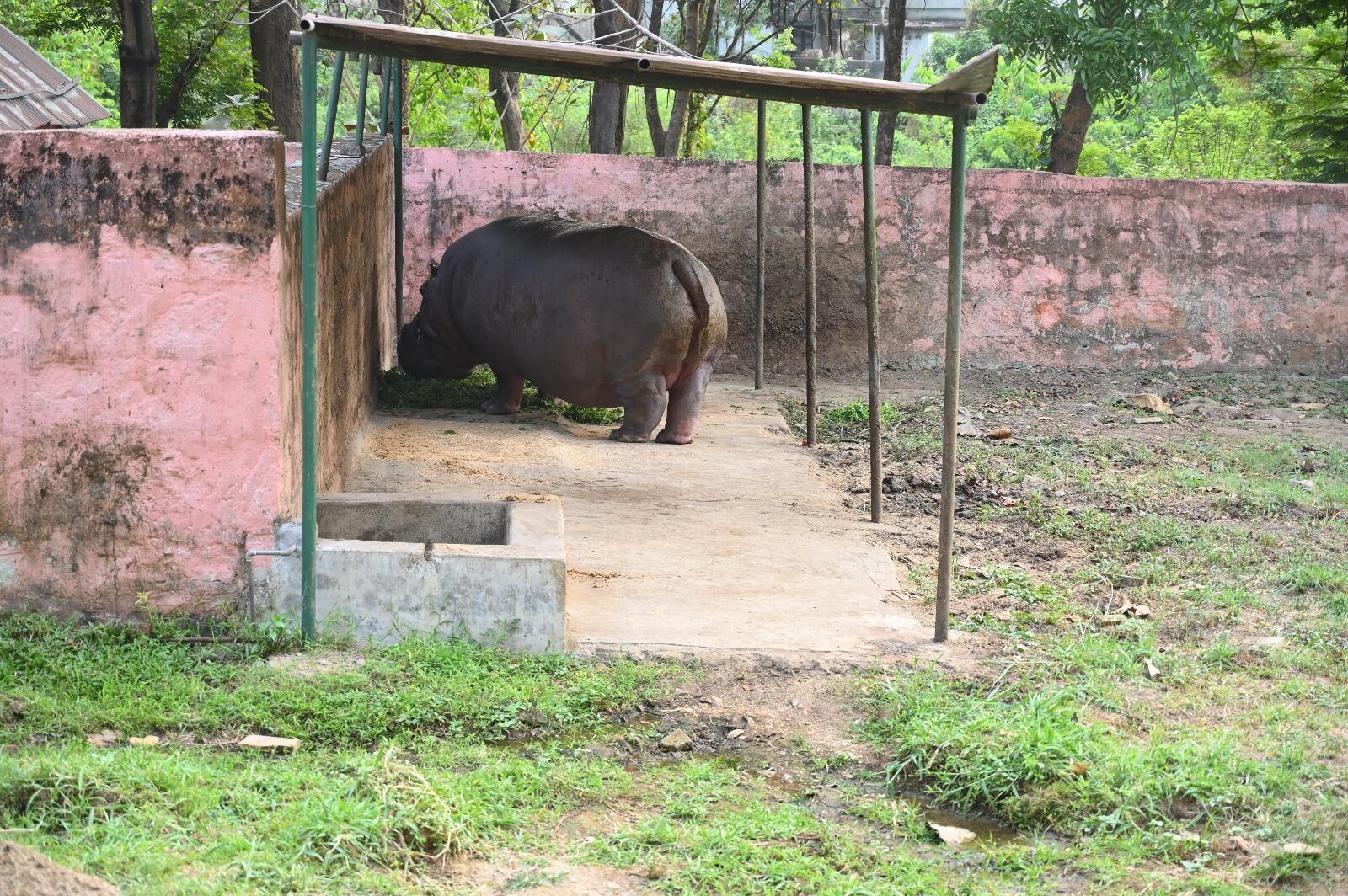 5c741d4c-1ed9-4336-8dd8-4d3561d764be_bokaro_zoo_summer_arrangments_7.jpg