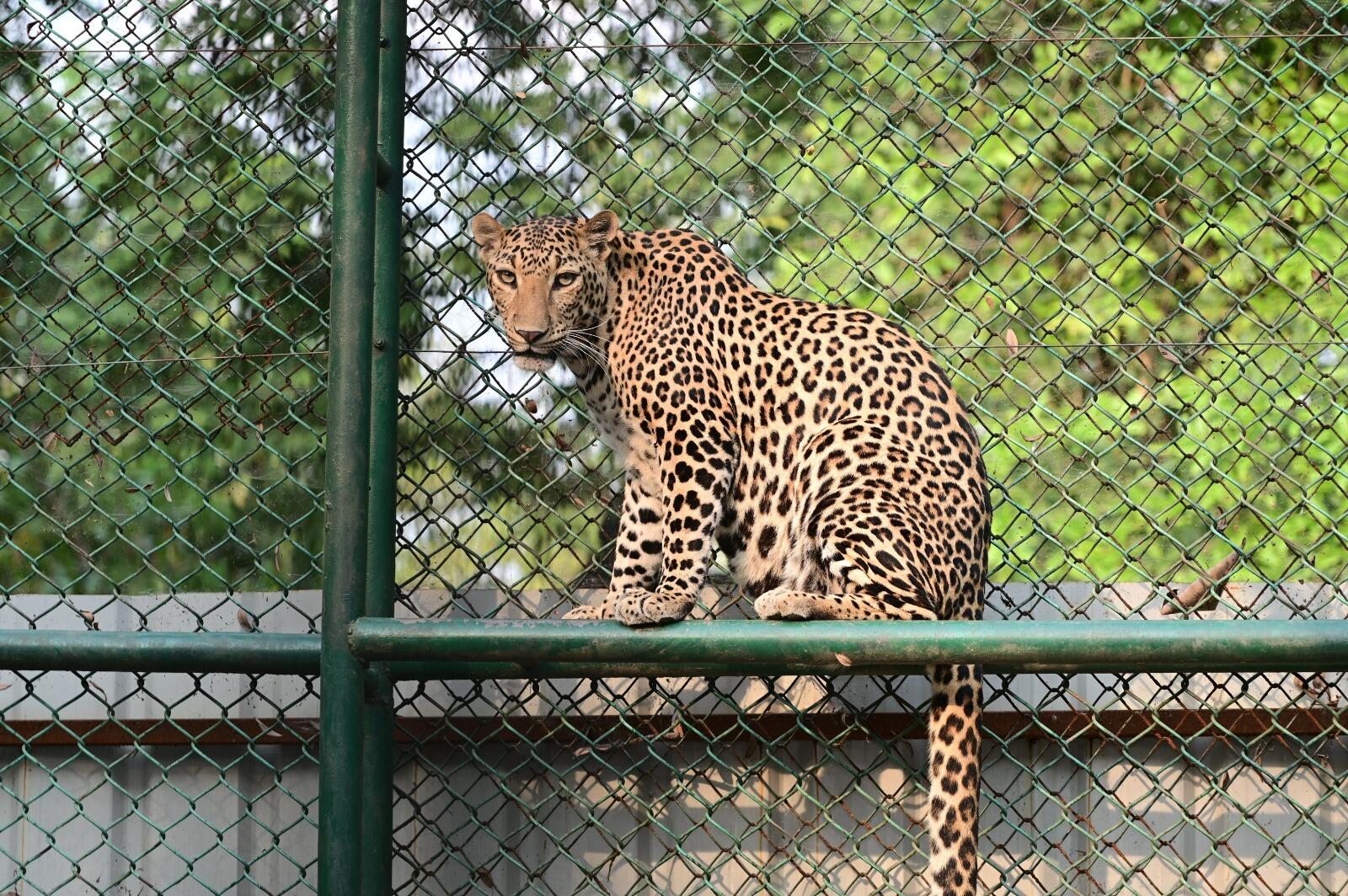 cb572b75-410e-4b6a-a1ba-28c7df80acf9_bokaro_zoo_summer_arrangments_5.jpg