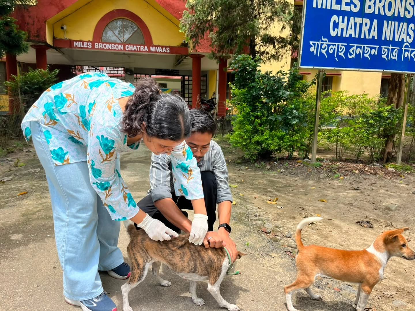 9575b2e0-726c-4550-8666-9e40e5e3275a_Stray_dog_vaccination._.jpg