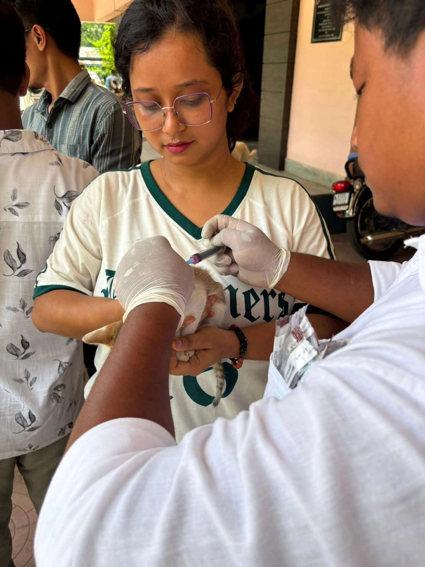 335aeeb1-2257-473b-b10e-4e86c7974d11_Stray_dog_vaccination_Dibrugarh_University_.jpg