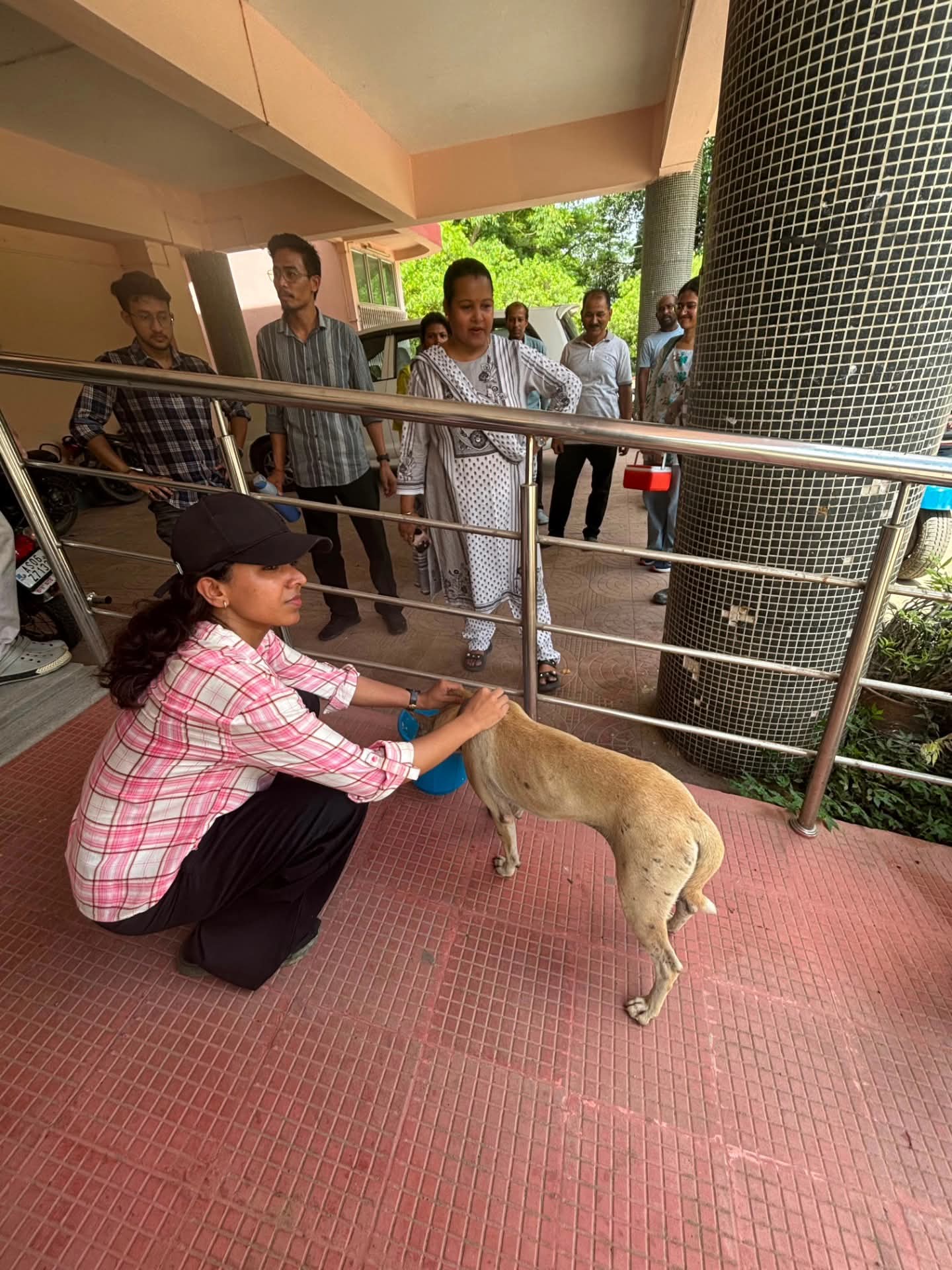 83aa0248-de37-4f08-ab39-6dca78b25bc4_Stray_dog_vaccination_.jpg