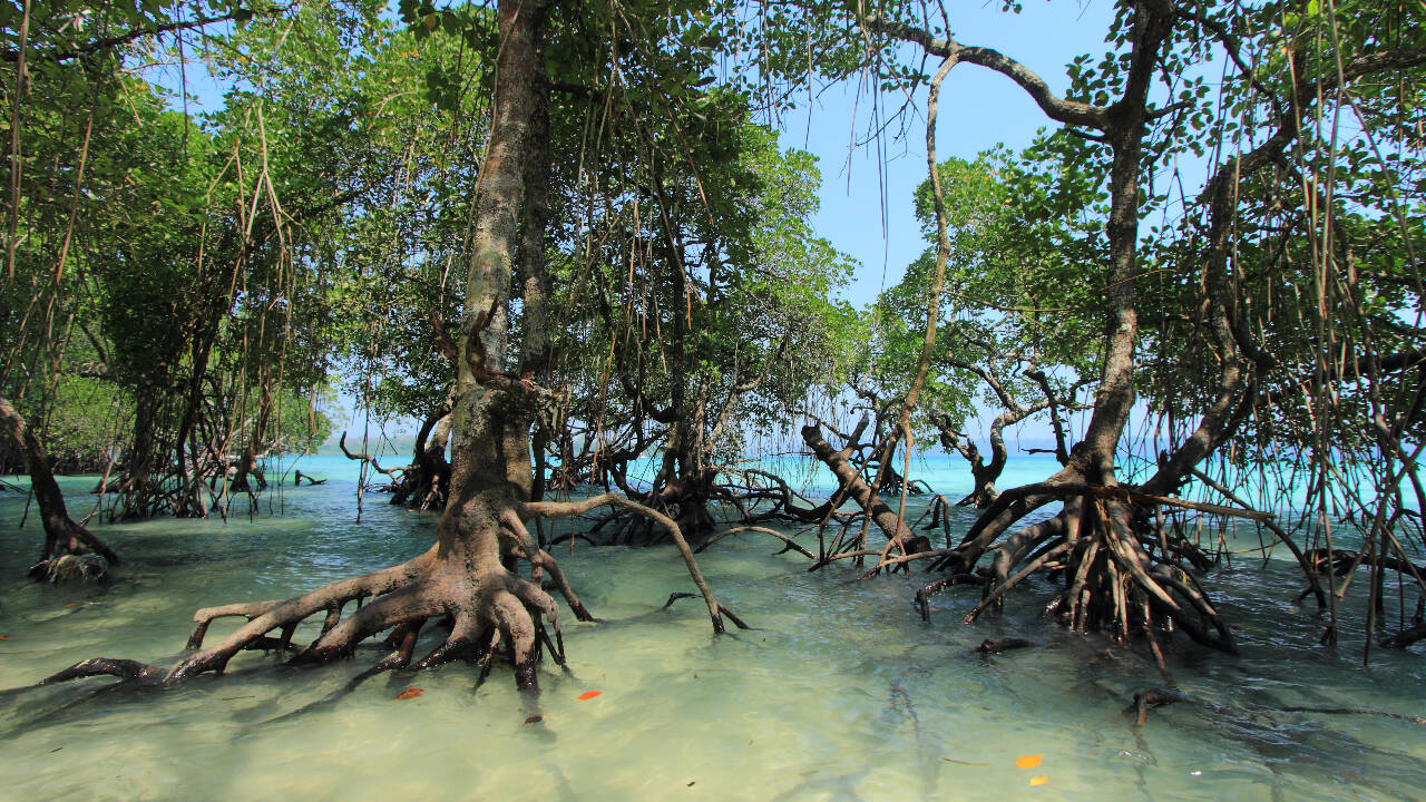 Is science taking conservation in a new direction?