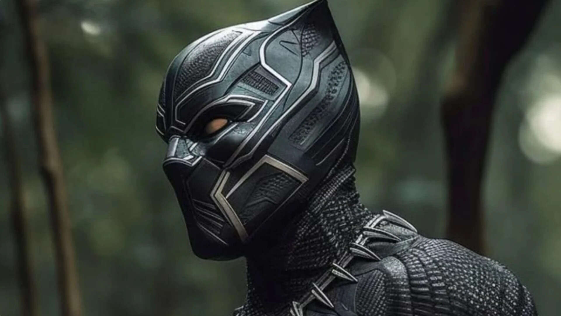 A new chapter begins in the Black Panther legacy