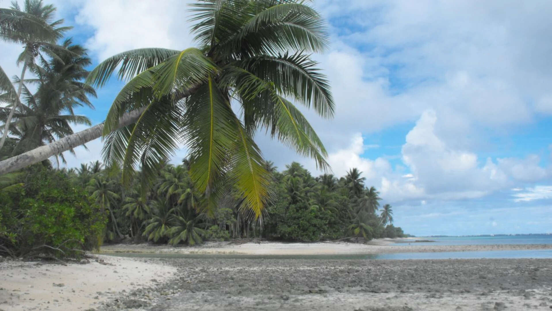 Beach scenery at the islet of Eneko, Majuro