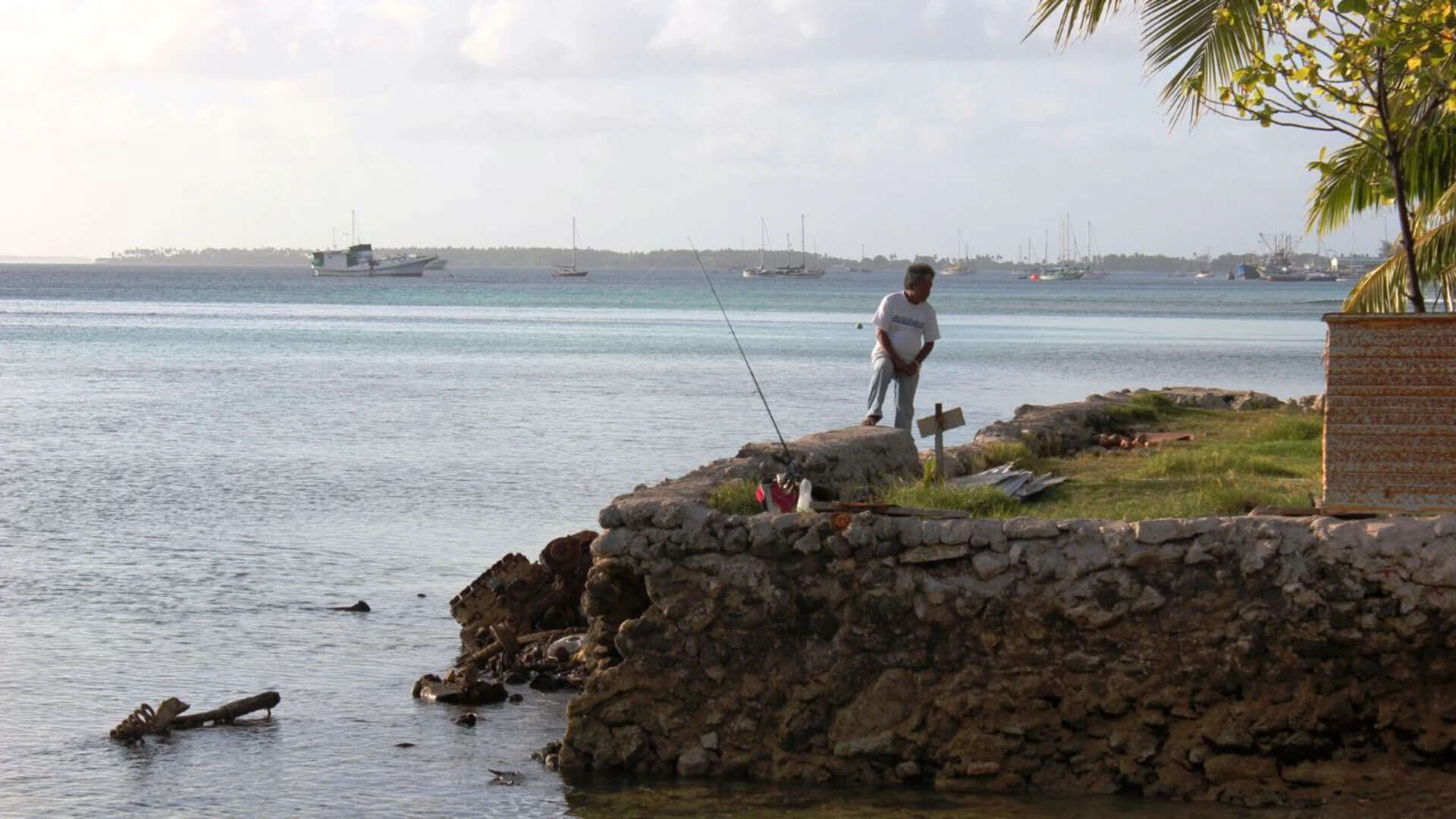 Can human interference speed up the damage to Majuro