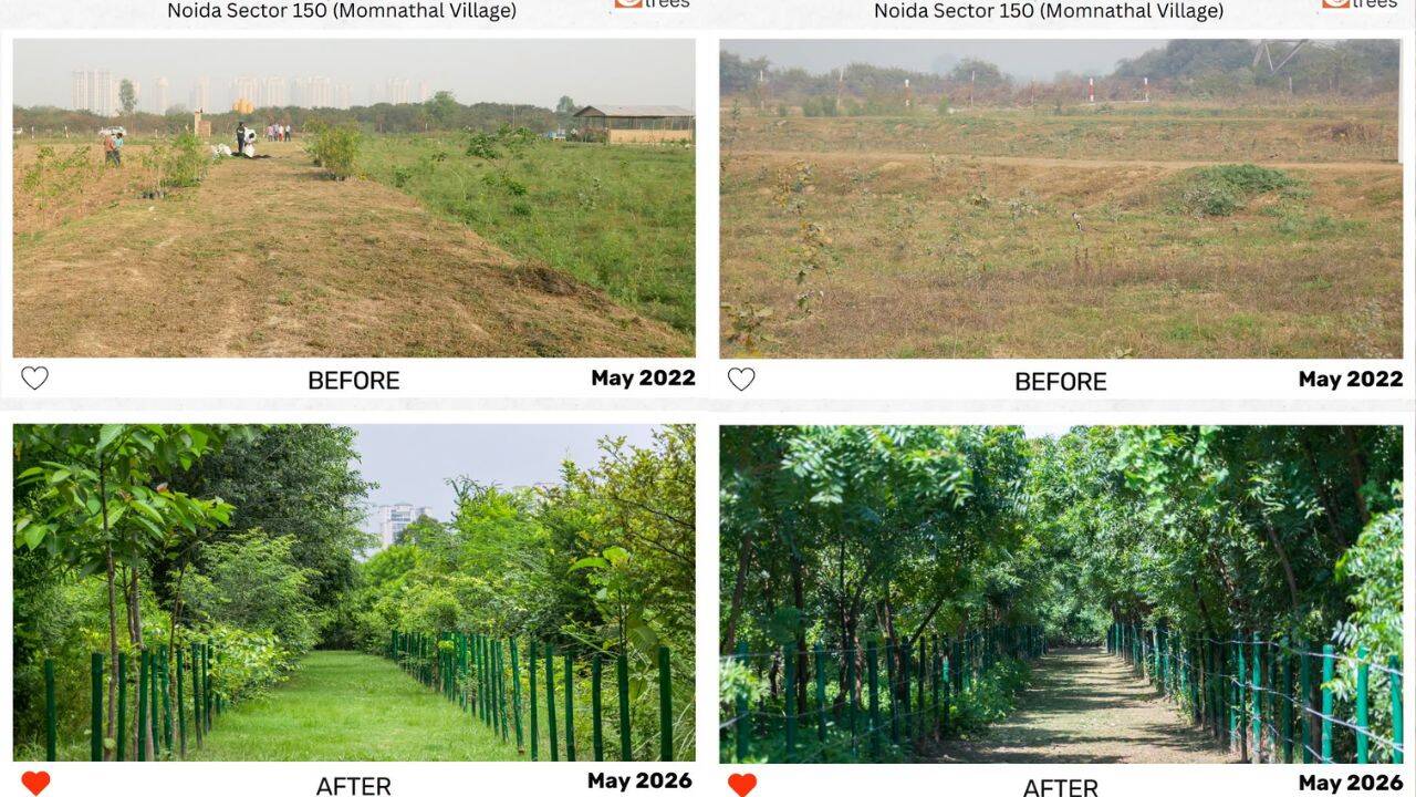 Visible land transformation in Noida due to forestation