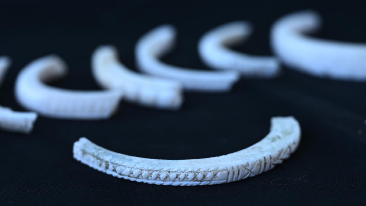 shell2