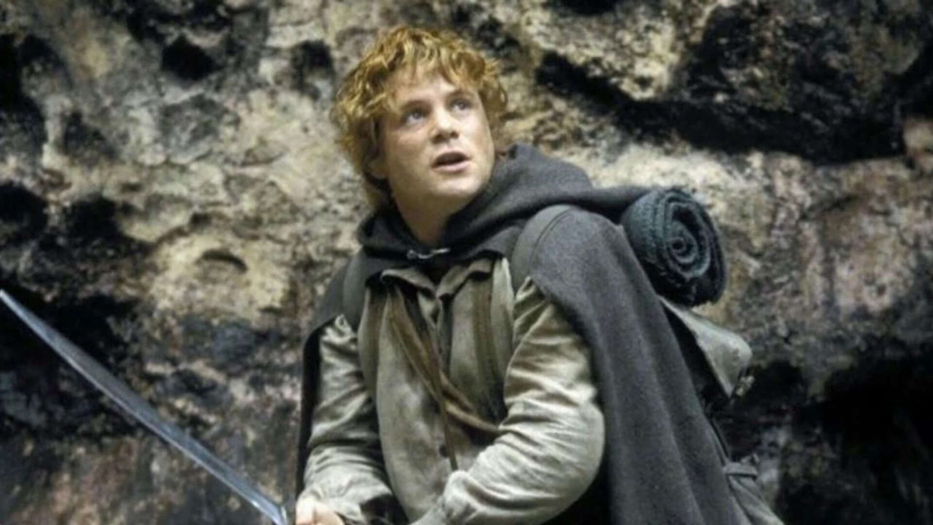 'The Lord of the Rings' became a global hit despite modest cast salaries