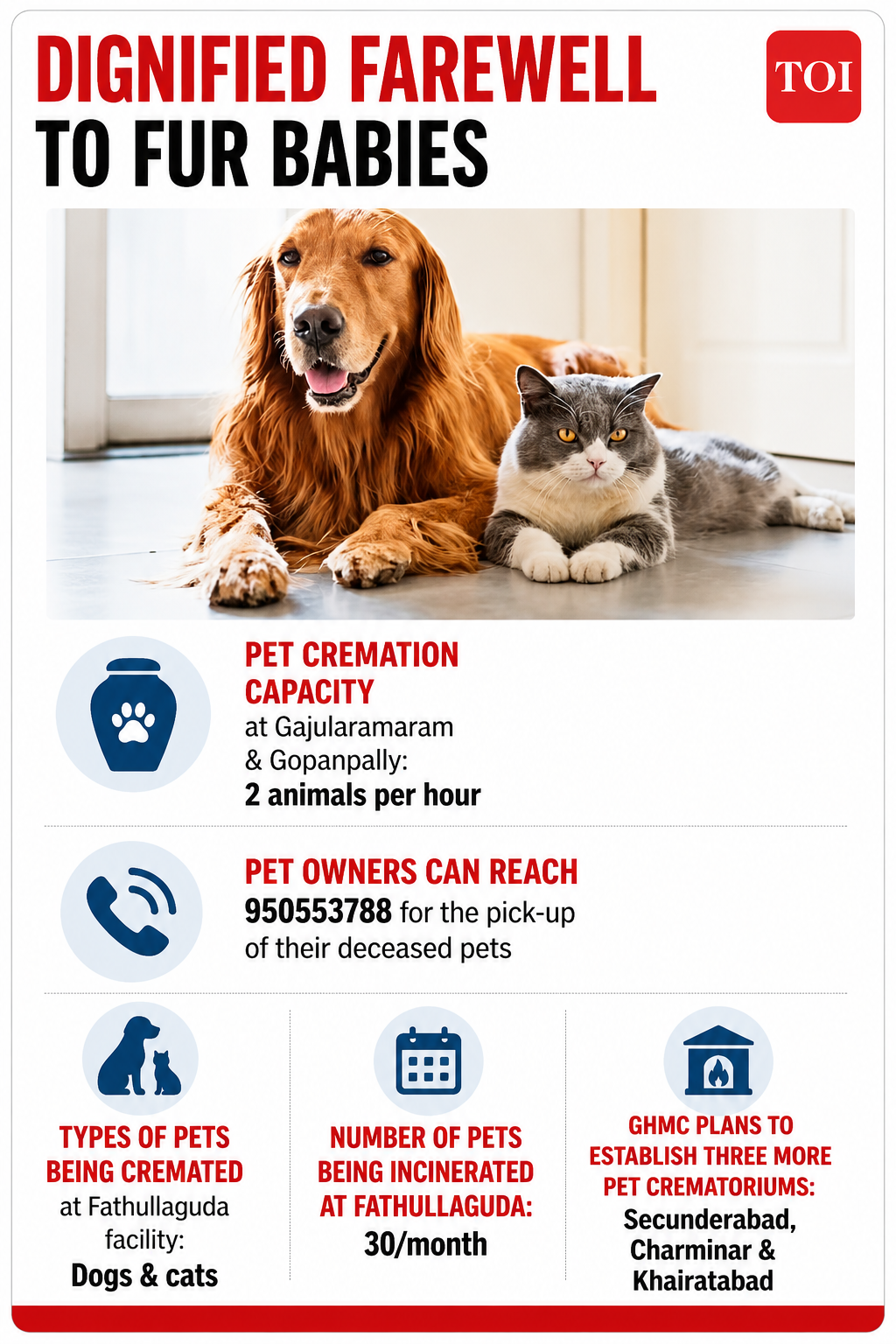 ​Dignified farewell to fur babies
