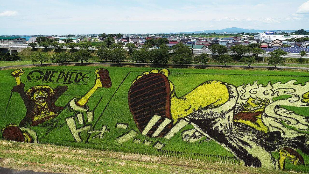 This Japanese village hides giant artworks in its rice fields: They only emerge every summer
