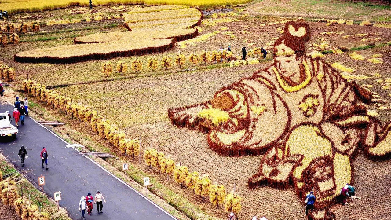 When is the best time to visit Japan for Tambo Art?<br><br>