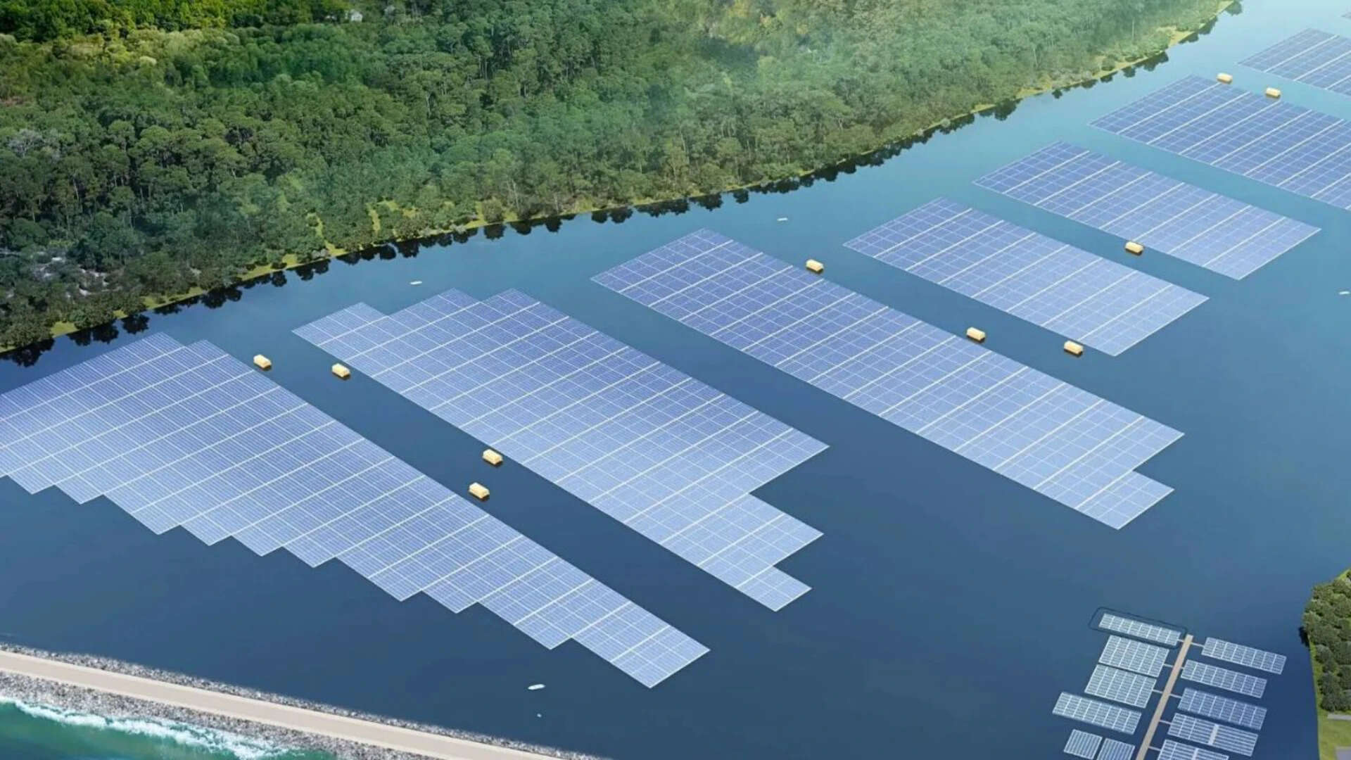Why Barnacles Are Threatening Singapore's Floating Solar Farms