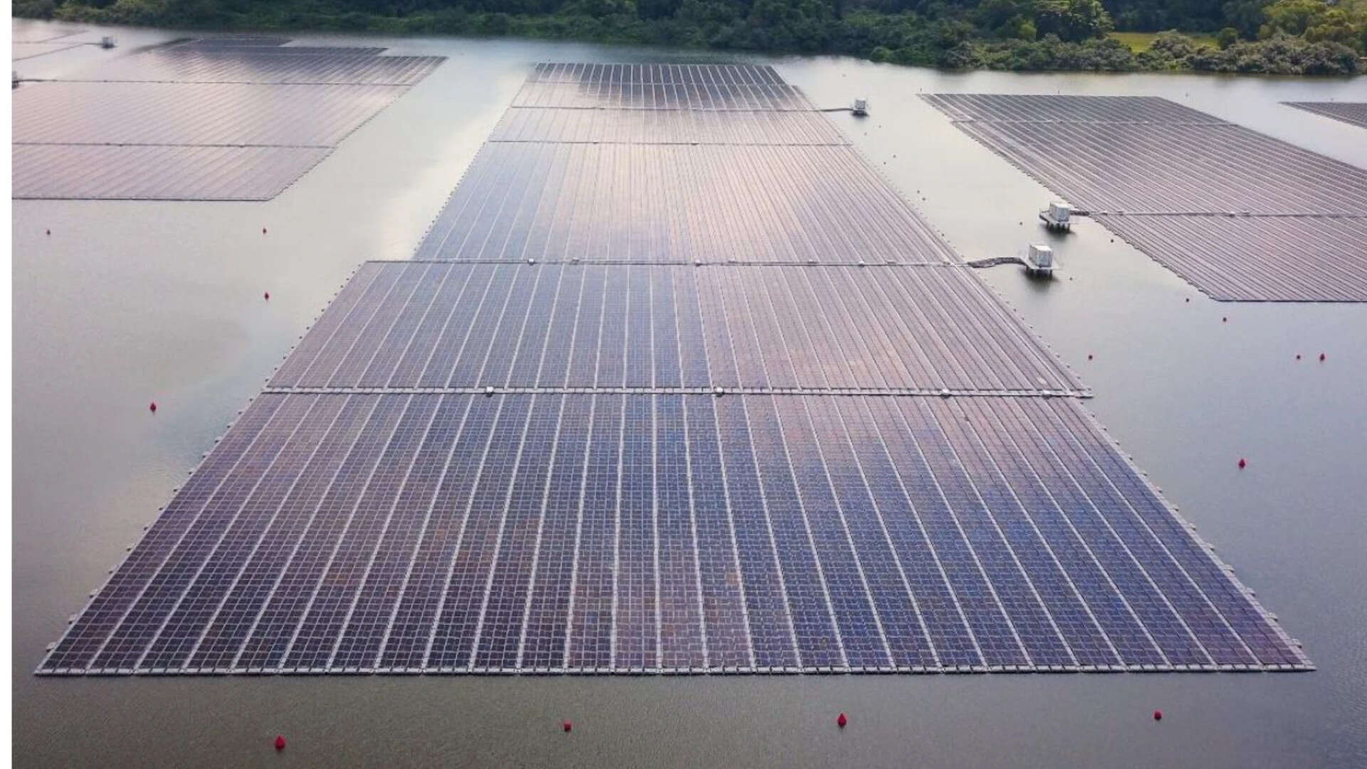 Singapore built a floating solar farm in the sea