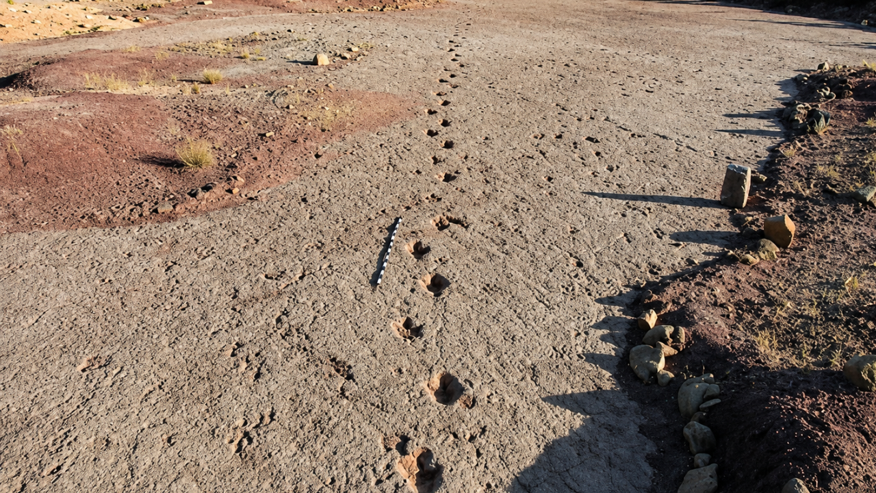 A 66-million-year-old dinosaur highway in Bolivia reveals more than 16,000 fossil footprints from the final days of the dinosaurs
