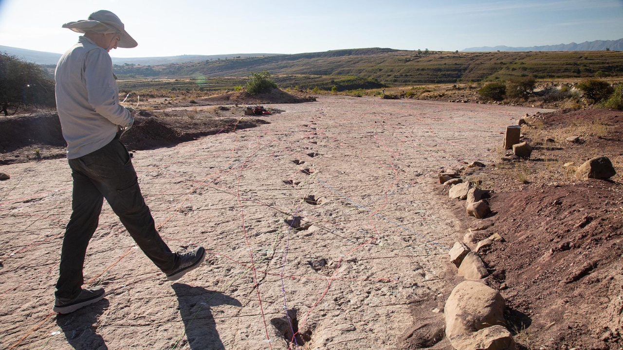 A 66-million-year-old dinosaur highway in Bolivia reveals more than 16,000 fossil footprints from the final days of the dinosaurs