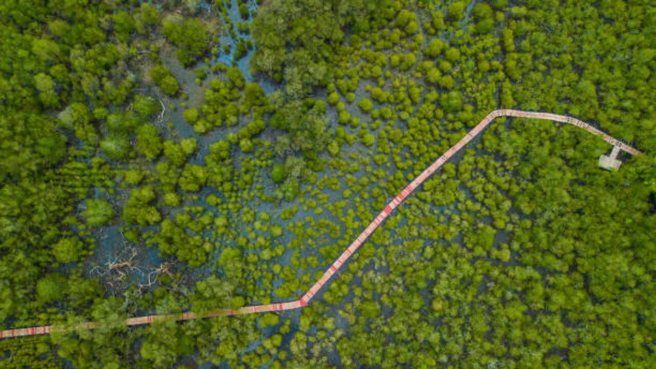 A protected ecosystem<br><br>