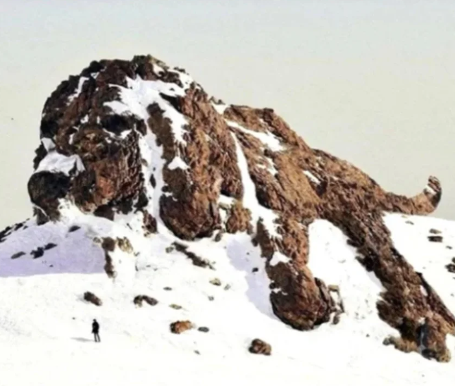 Dog or Mountain? What did you see first?