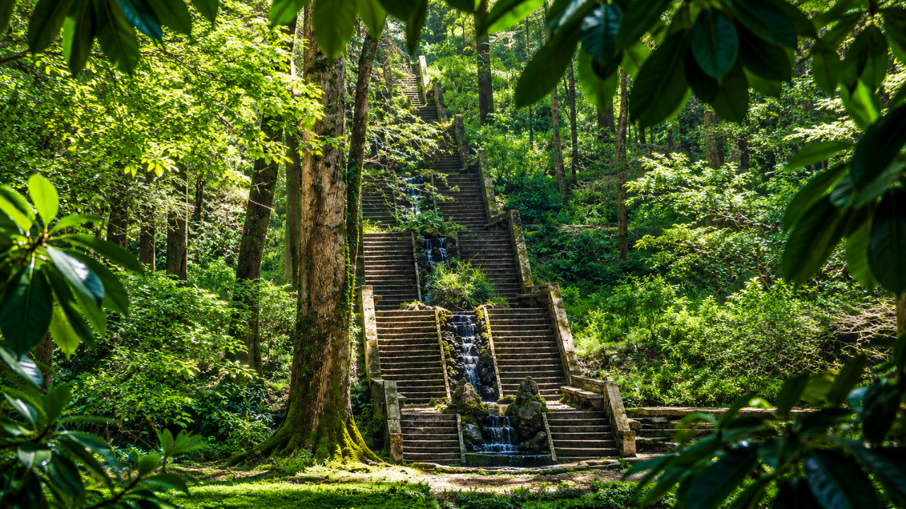 Why Portugal's Therapeutic Forest Trend is a Massive Distraction From Real Environmental Fixes