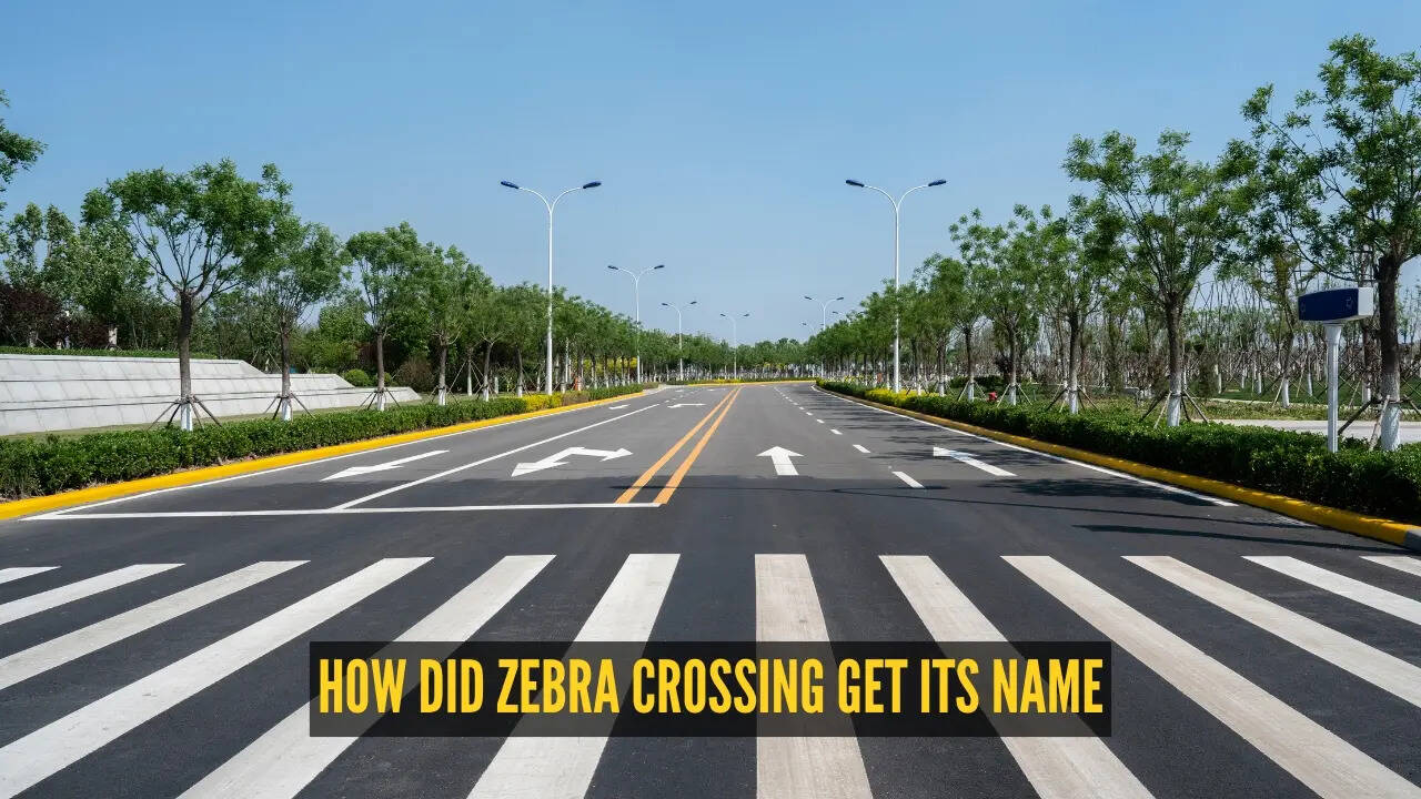 You've crossed it countless times, but do you know why it's called a zebra crossing?