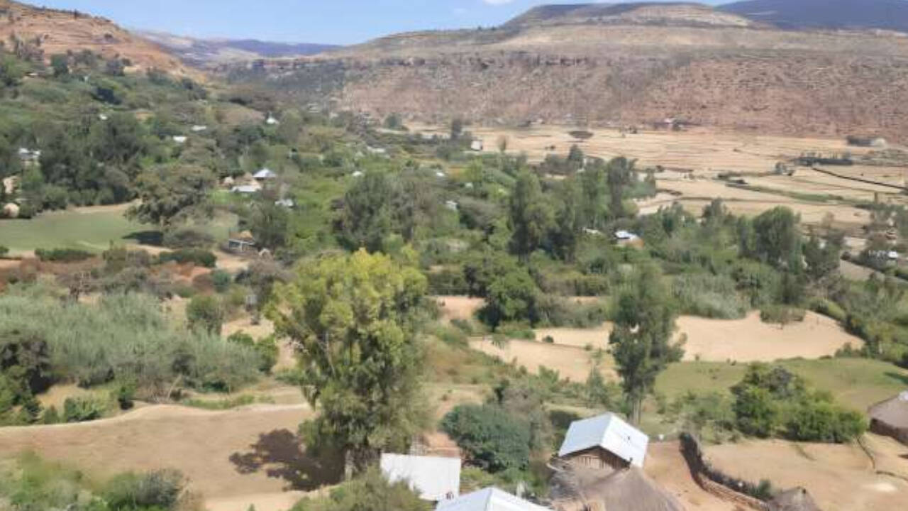 Researchers estimated that the wider region may still host between 1,000 and 1,500 traditional grapevines