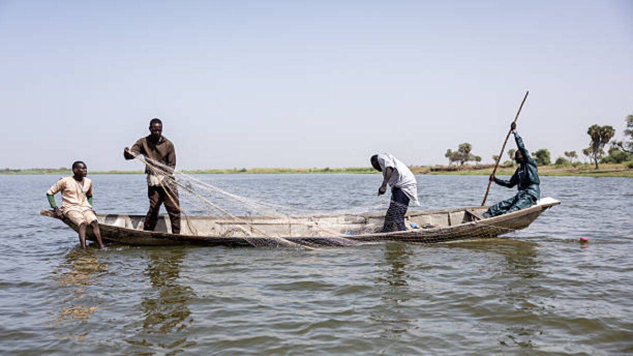 Why is urgent action vital?<br><br>