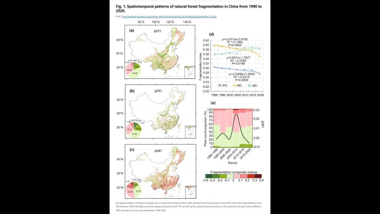Natural forest fragmentation in China (Picture: Nature portfolio)