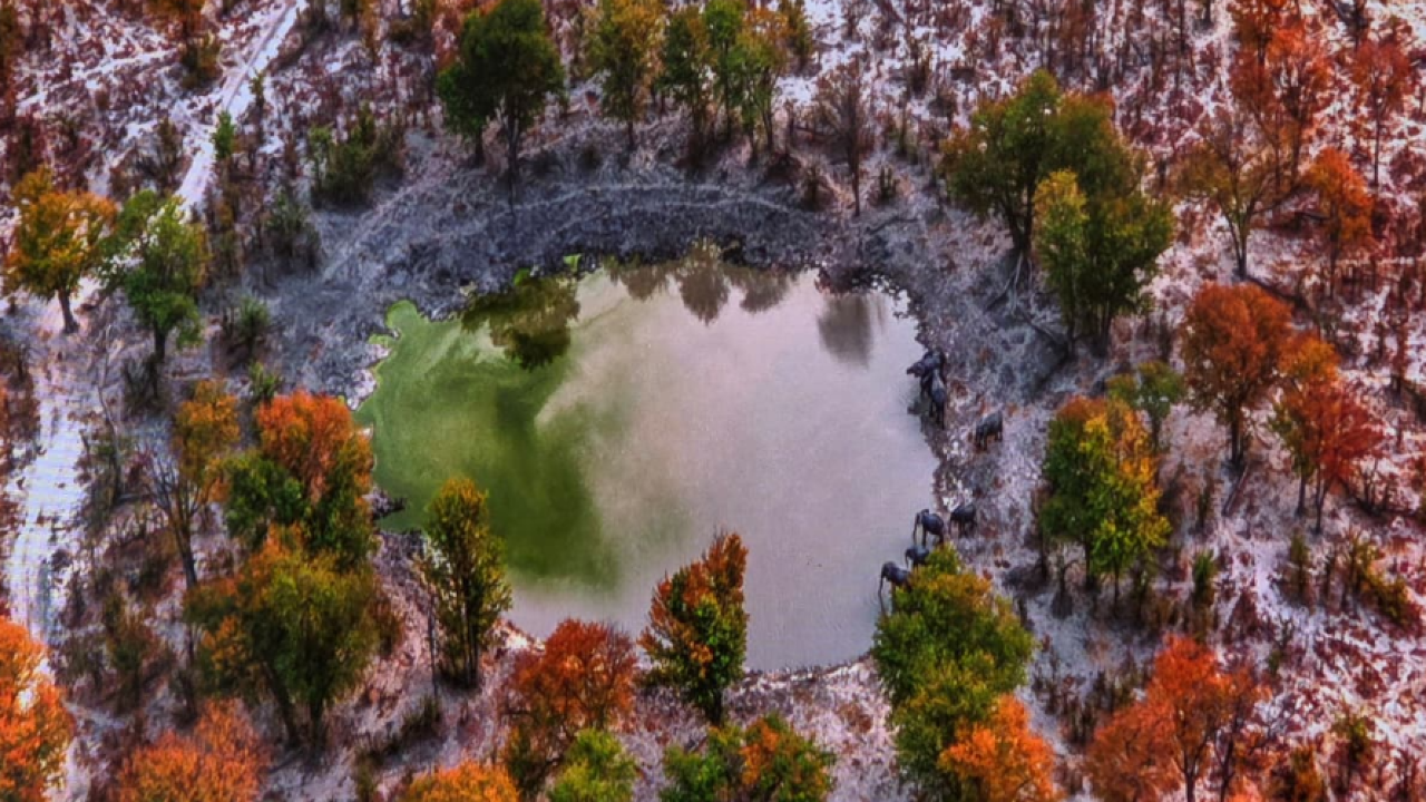 The Last Waterhole by Ramachandiran Govindaraj