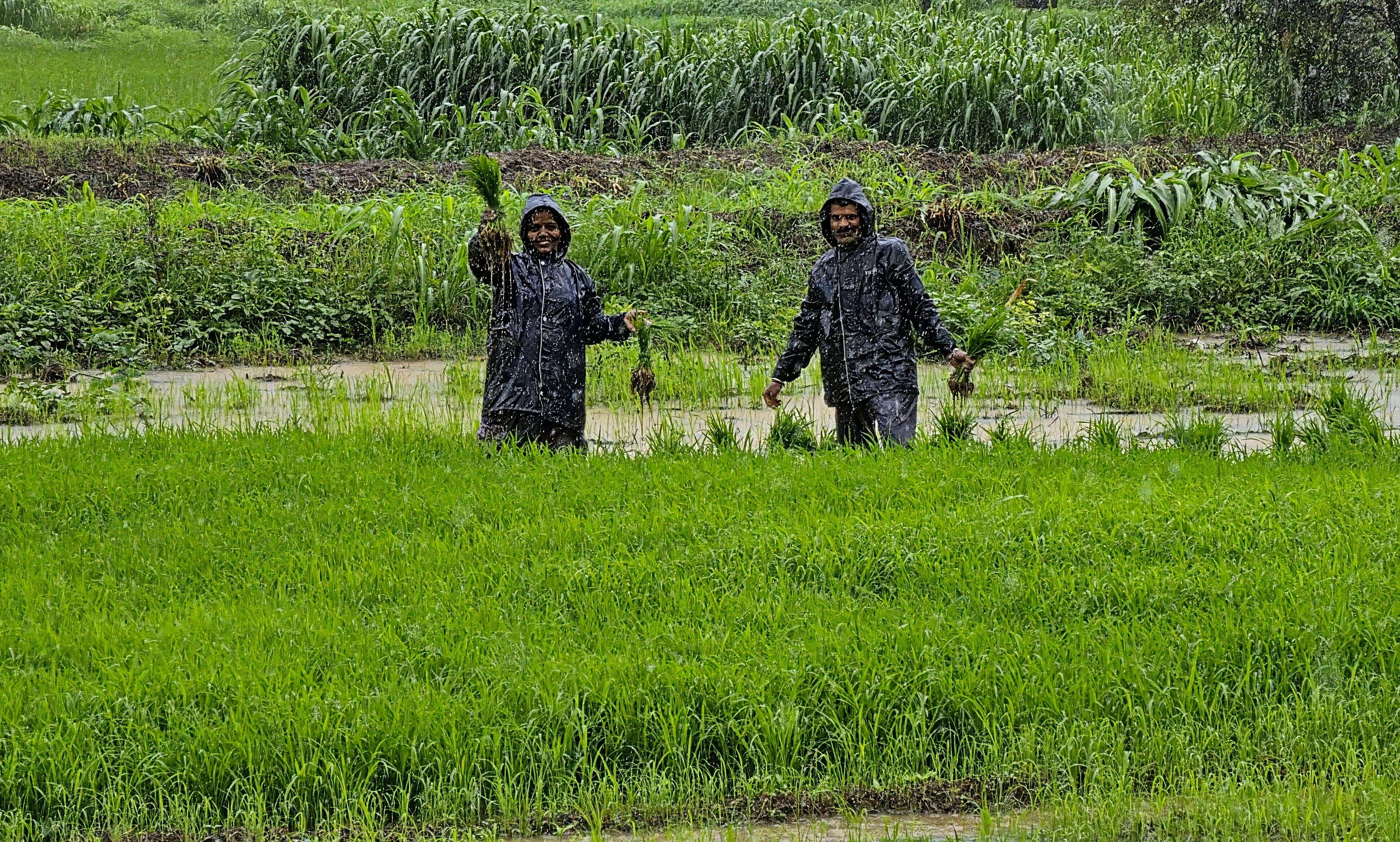 Cash-strapped Maharashtra government clears Rs 9.9 crore for farm loan waiver publicity
