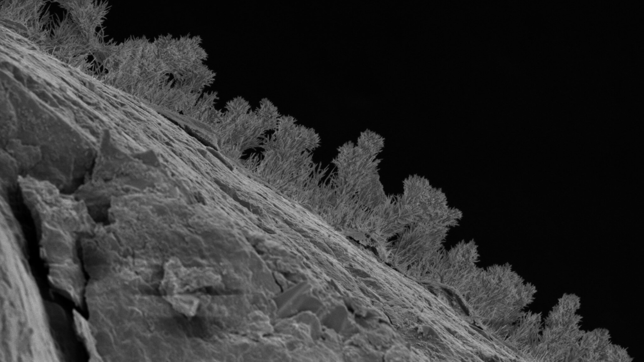 Scientists drilled 1,640 feet beneath Michigan and found 689 kinds of fungi living in water