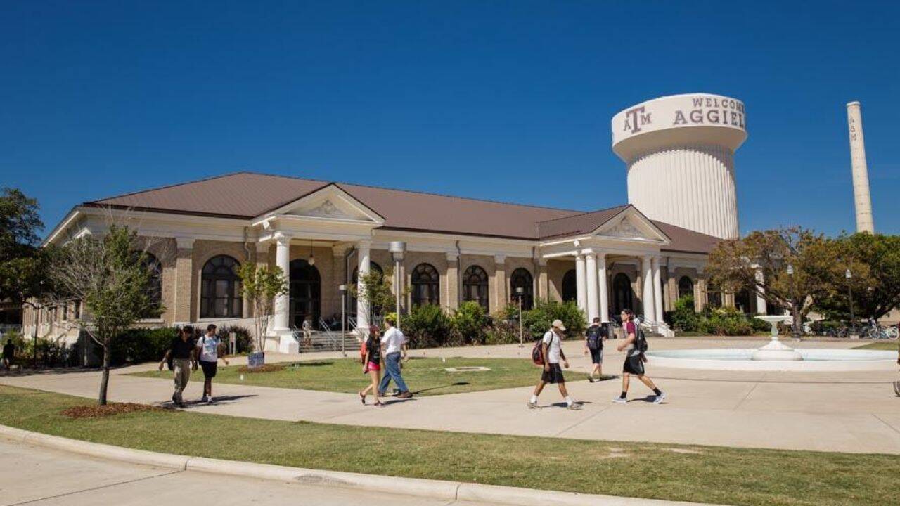 Who is leading this innovative research at Texas A&M University