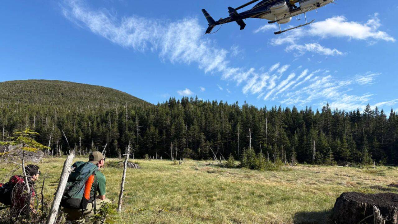 Rescue at Gray Peak