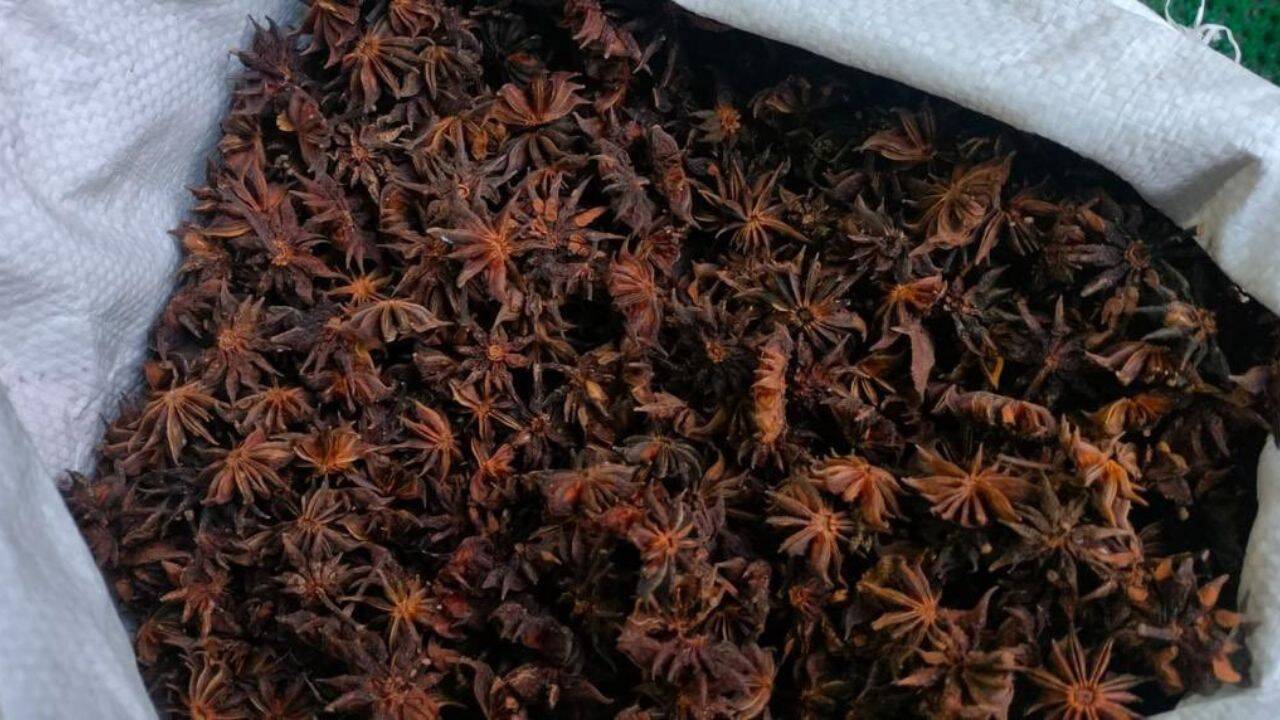 Wild spice helps 200 Himalayan families earn Rs 39 lakh, protect forests