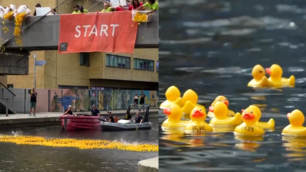 Thousands of rubber ducks raced through a London canal to raise money for critically ill children, turning a charity event into a colourful spectacle