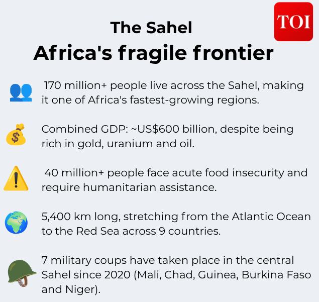 Since 2020, countries including Mali, Burkina Faso and Niger have experienced military coups. Sahel